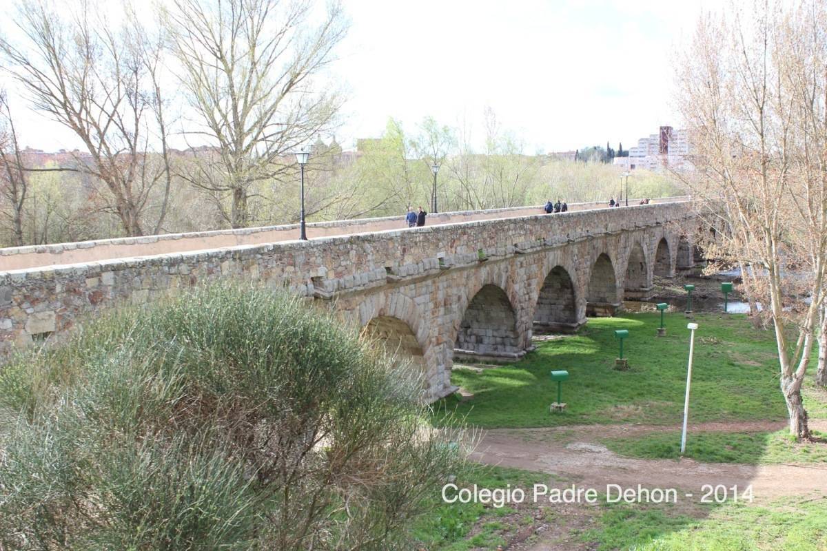 2014 03 22 SALAMANCA PUENTE ROMANO (3)